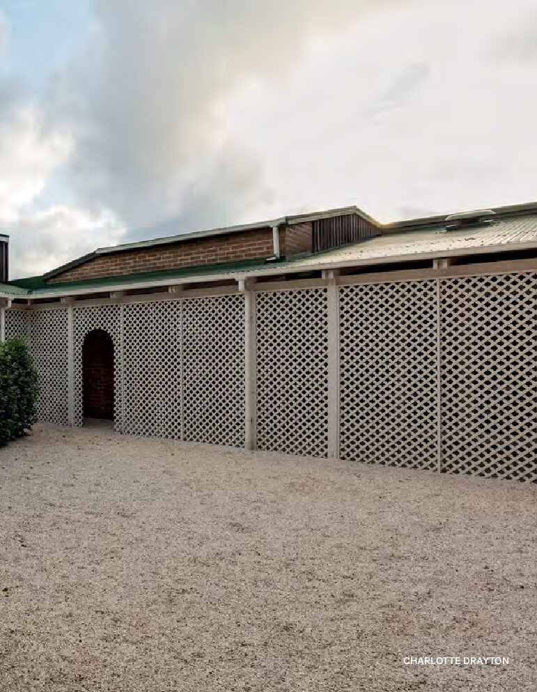 THE HIVE HUMS WITH MANY MINDS -6