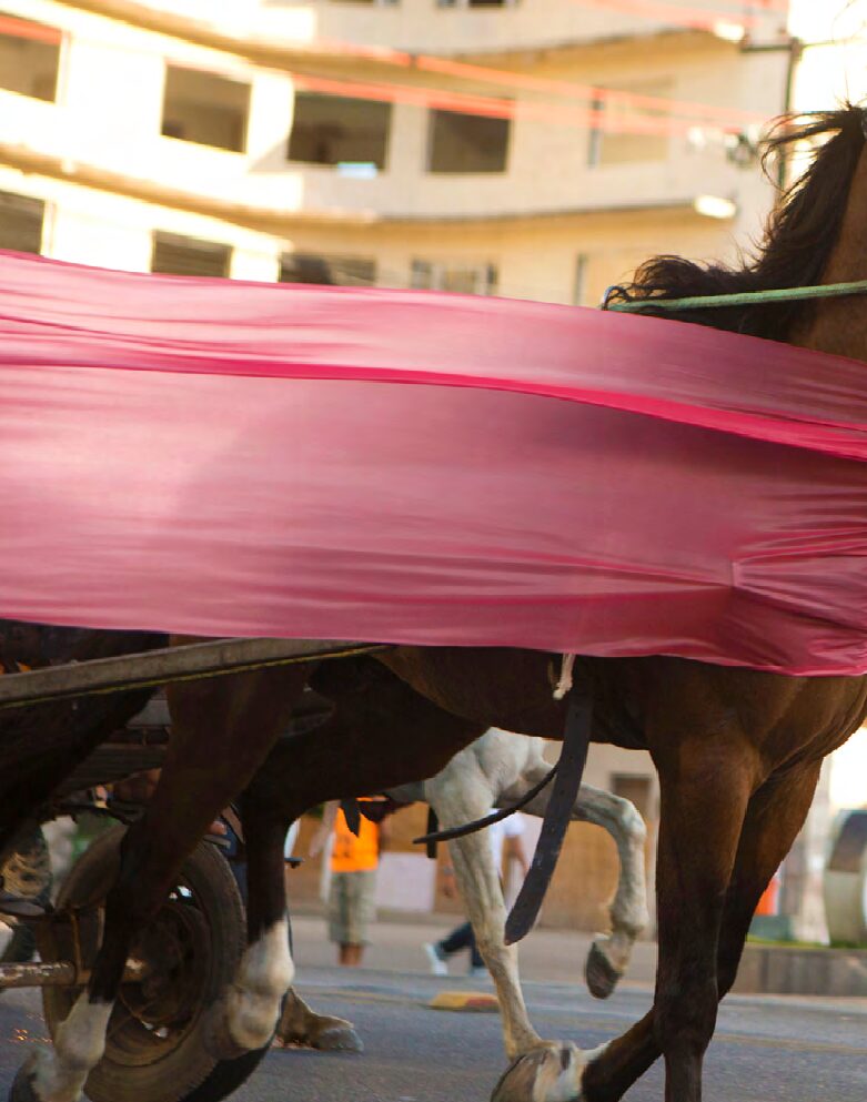 Share_Cheat_Unite vol 2 -2