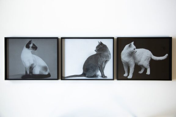 Ava Seymour, Story Of Love, 2022 edition of 3 sets of 3 + 1 AP, signed and numbered certificate set of three framed digital c-type prints  each 312mm x 252mm x 35mm