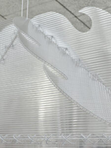 _DSF2216web