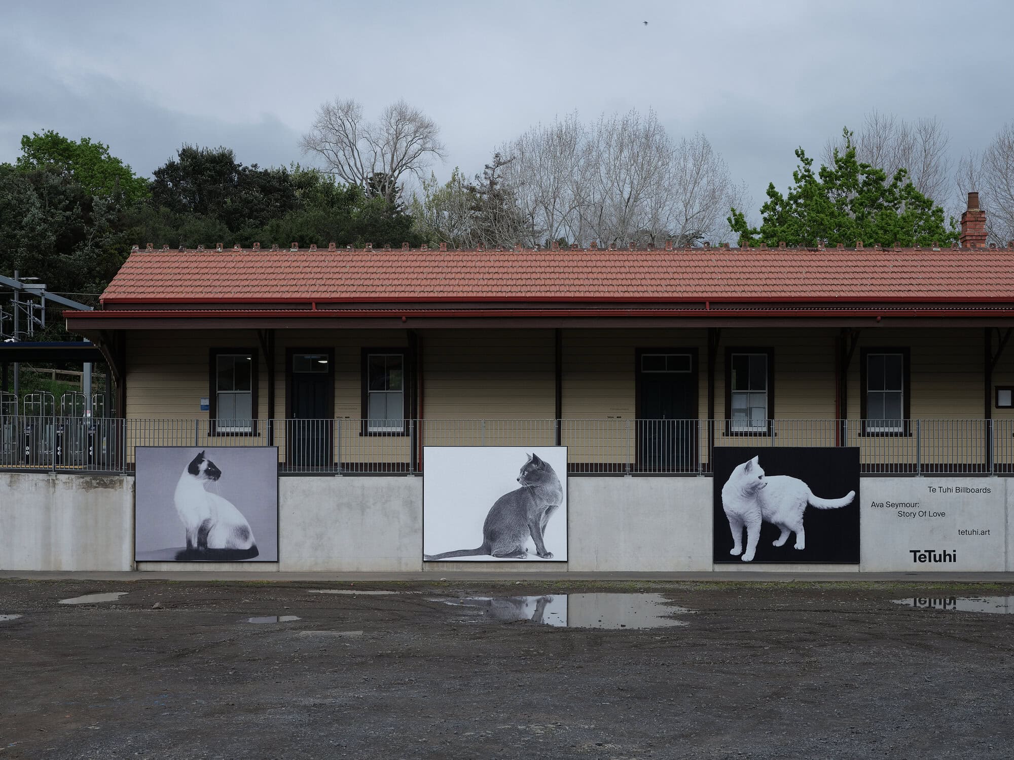 Te Tuhi Billboards Ava Seymour