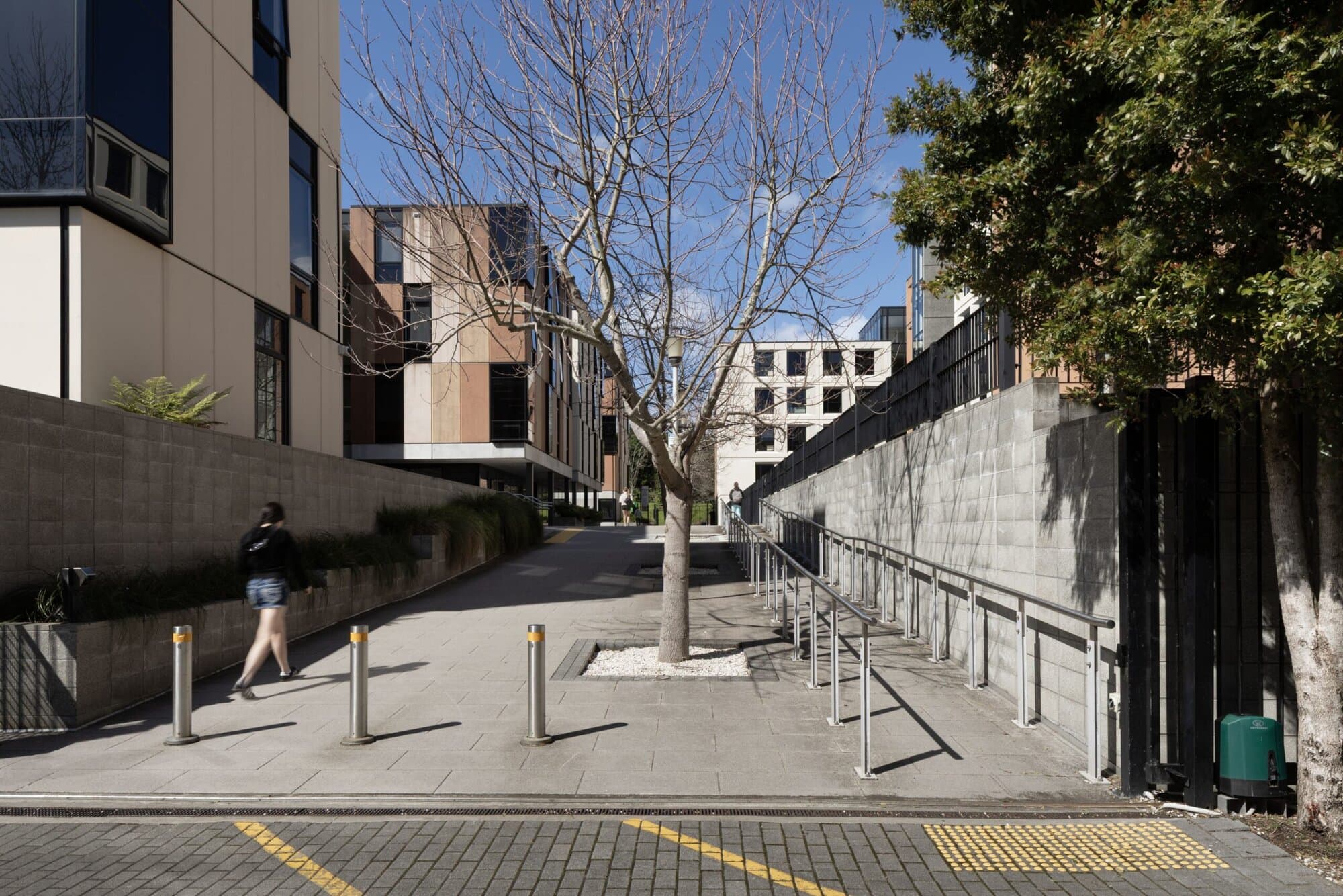 Entrance to Lower Domain Drive pathway from Nicholls Lane.