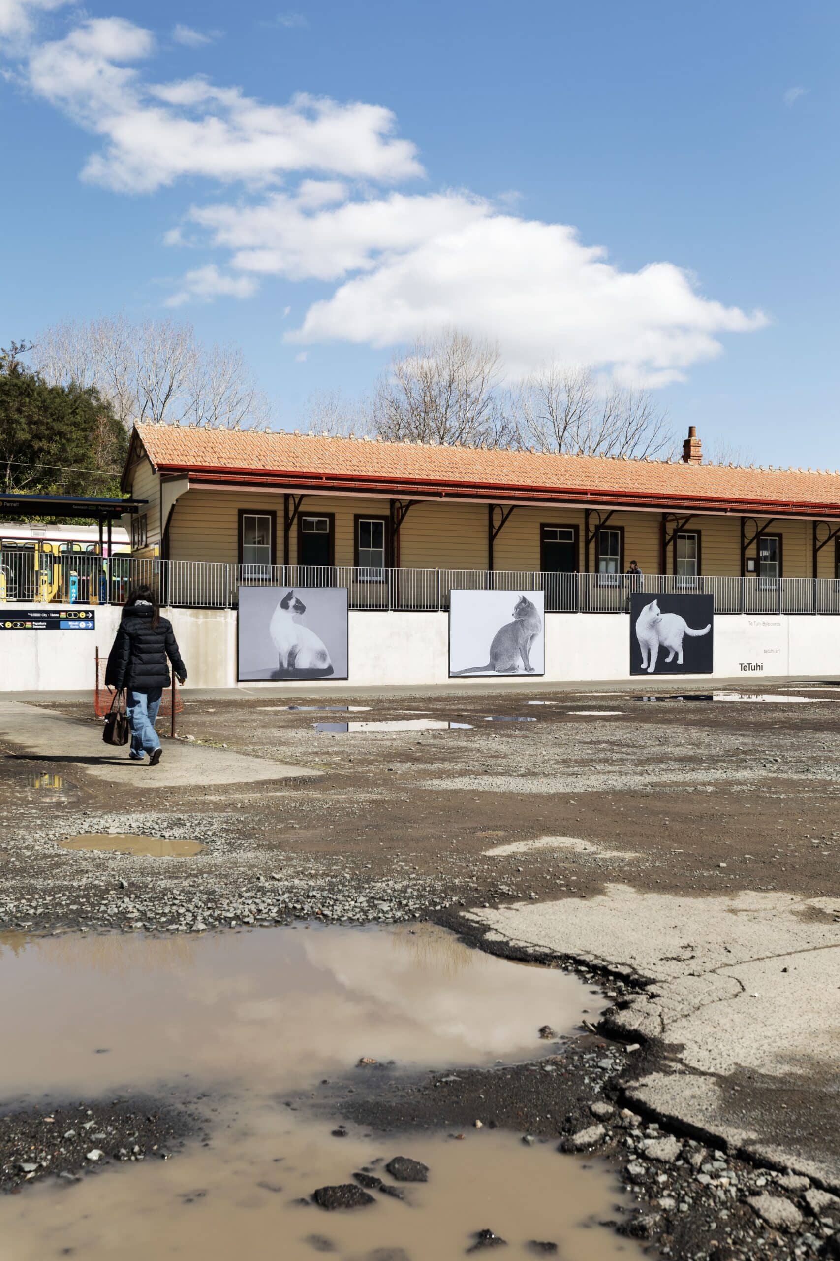 An uneven gravel car park with large potholes and puddles stretches towards a heritage-style train station building. Three large billboards line the station platform wall displaying black and white photographs of cats.