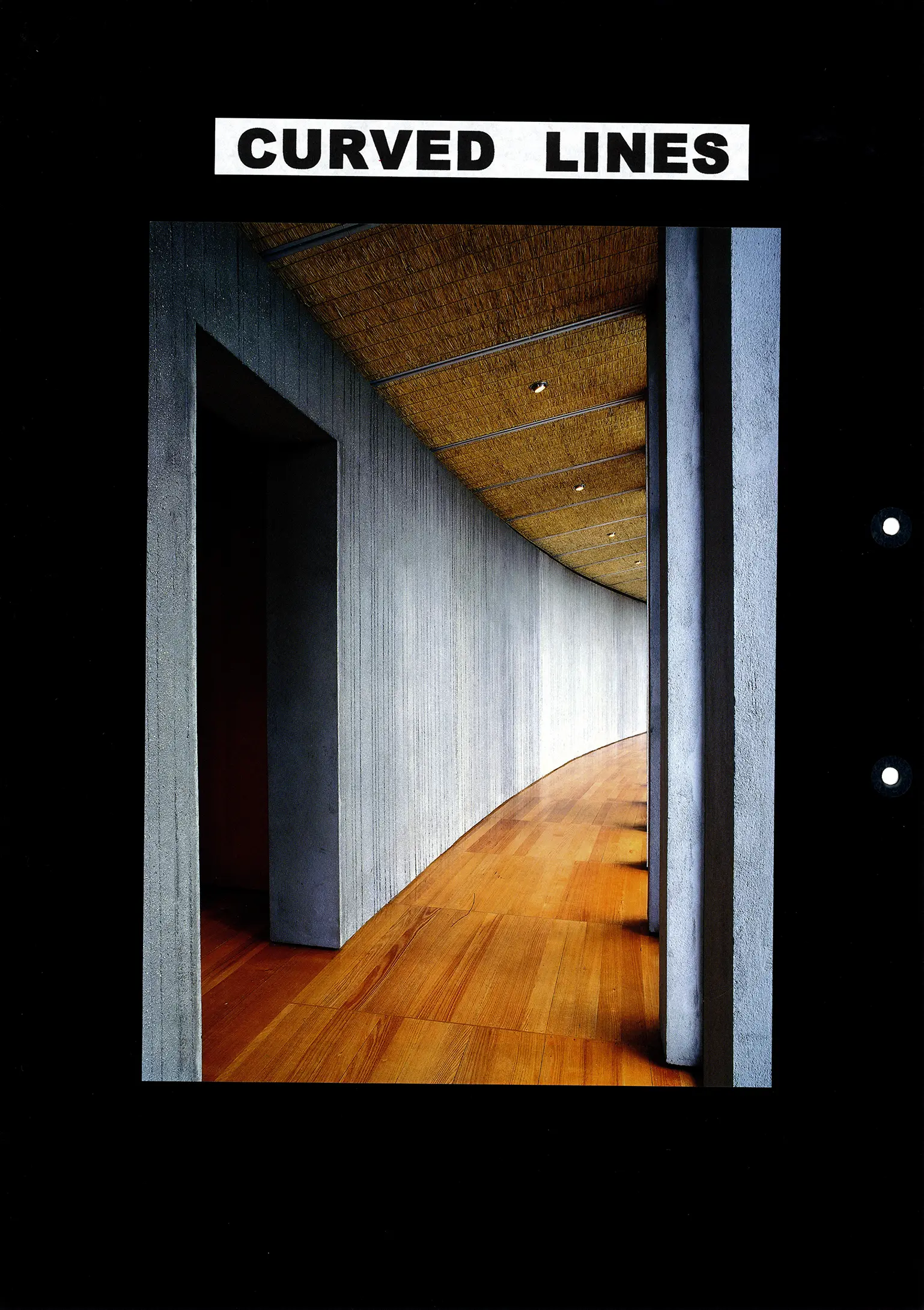 nanettecameron-folios-s1-62-line-(images)-2