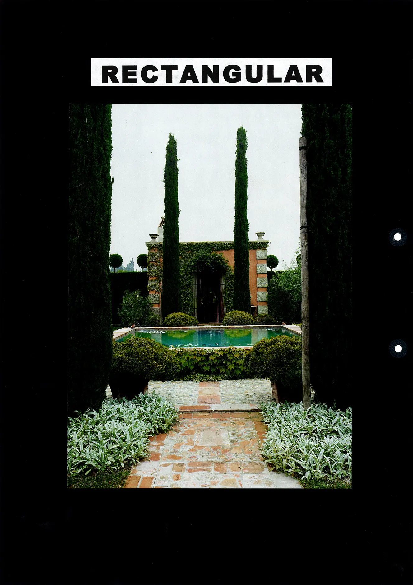 nanettecameron-folios-s1-67-form-(images)-2