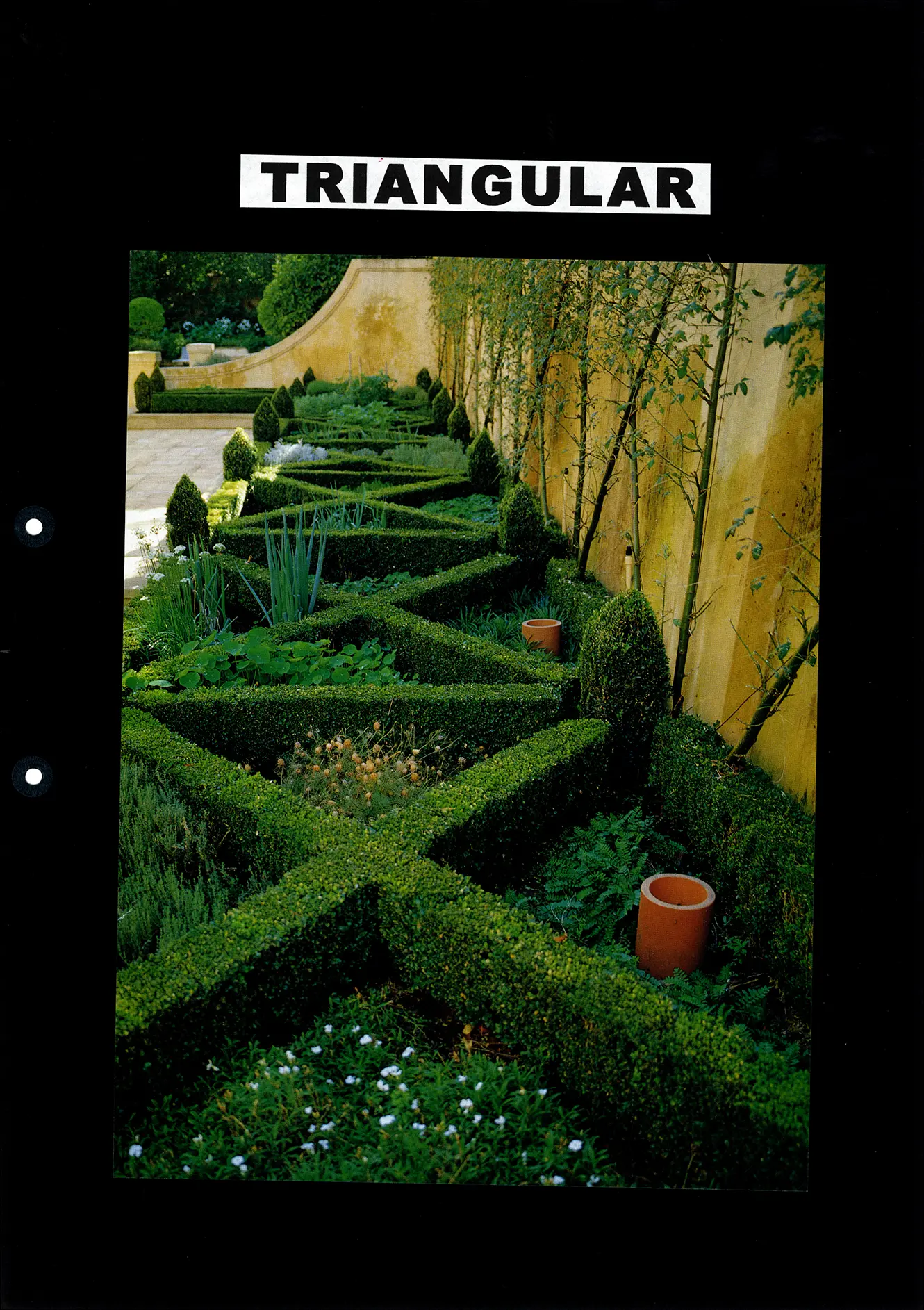 nanettecameron-folios-s1-67-form-(images)-5