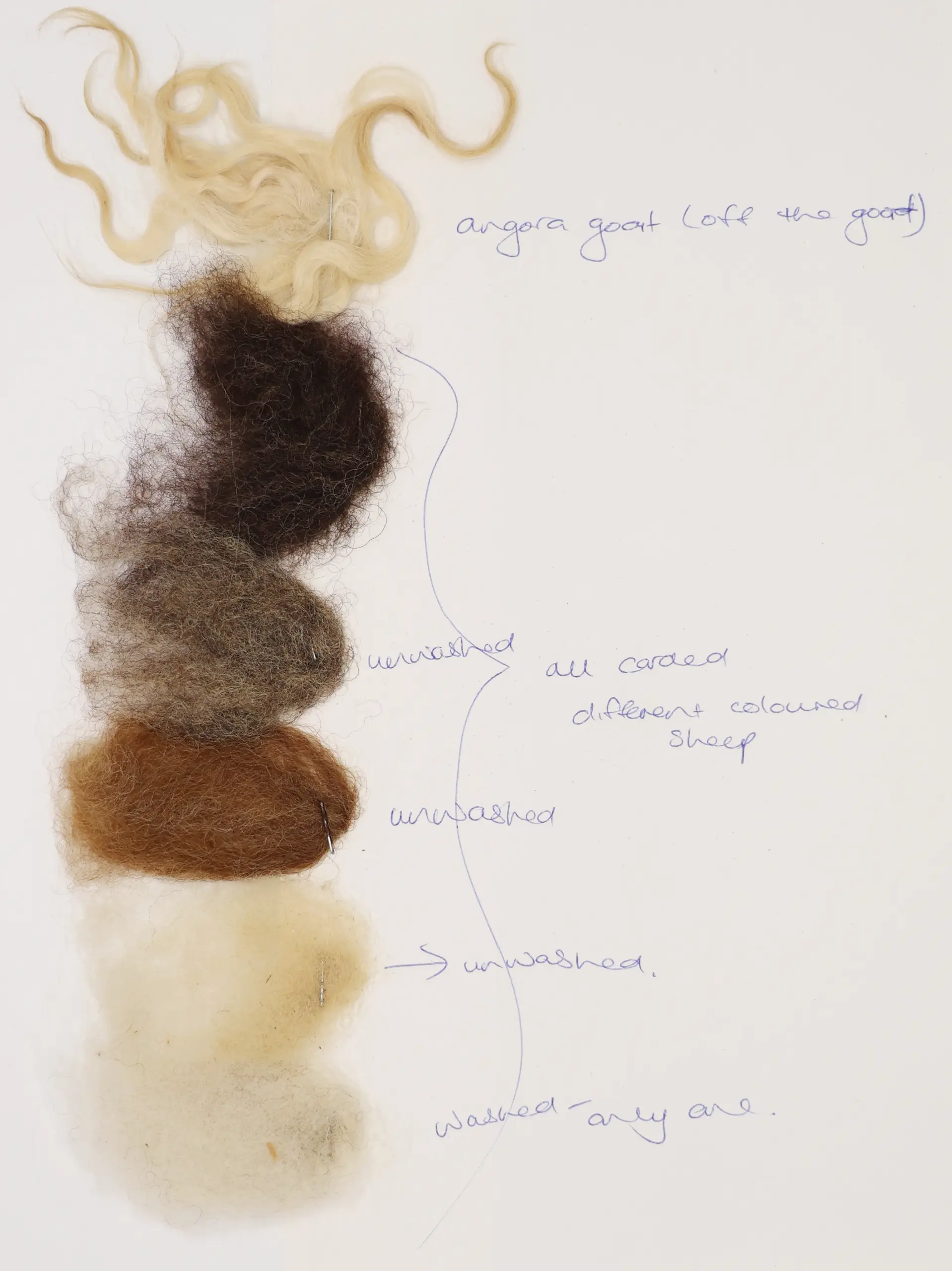 nanettecameron-folios-s2-19-wool-examples-part-2