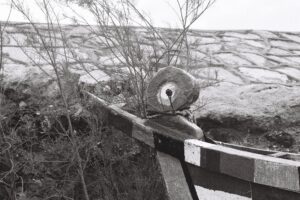 Al-Ahwar Waka – Mariam Tawfik 35 mm scan  Ilford hP5+