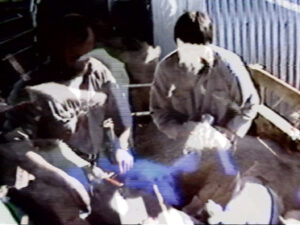 Frances Libeau (web scaled)