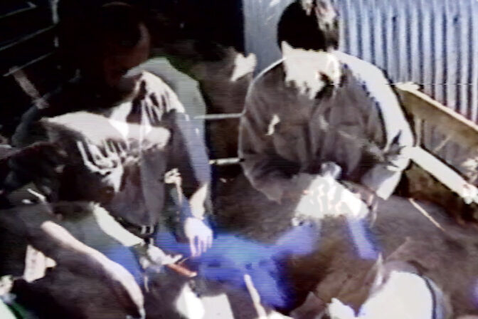 Frances Libeau (web scaled)