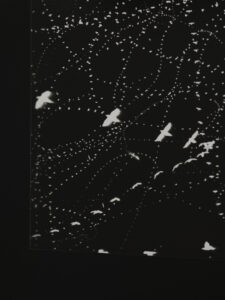 Conor Clarke Home, hone, homing (for Betsy Bang), 2026 (detail). Commissioned by Te Tuhi, Tāmaki Makaurau Auckland. Photo by Sam Hartnett