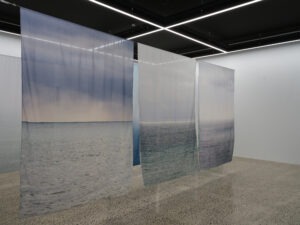 Conor Clarke, Eau de Plume, 2026 (installation view)