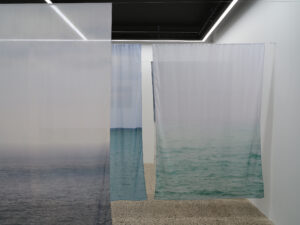 Conor Clarke, Eau de Plume, 2026 (installation view)