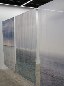 Conor Clarke, Eau de Plume, 2026 (installation view)