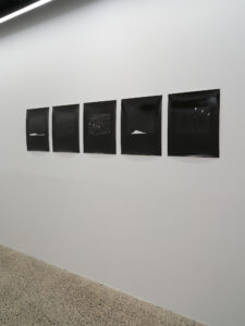 Conor Clarke, Eau de Plume, 2026 (installation view)