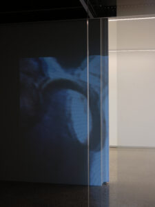 Frances Libeau, Lake of Wandering Spirits, 2026 (installation view)