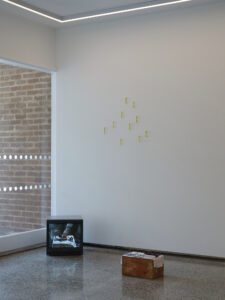 Frances Libeau, Lake of Wandering Spirits, 2026 (installation view)