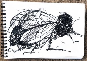 PHOTO-2026-03-25-10-21-27