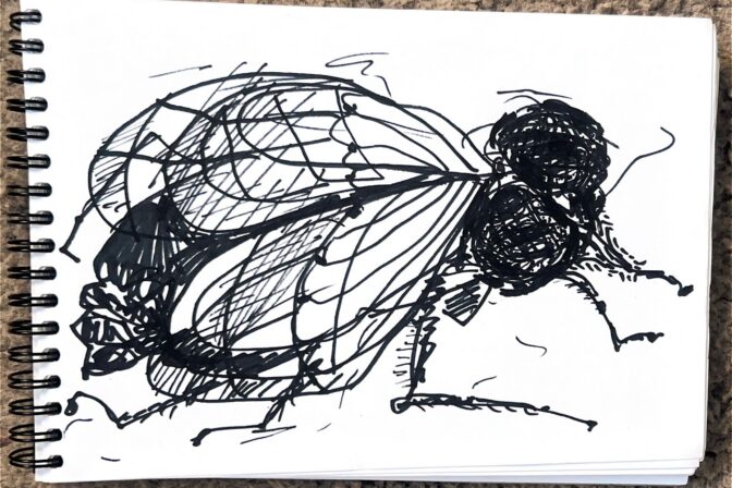 PHOTO-2026-03-25-10-21-27