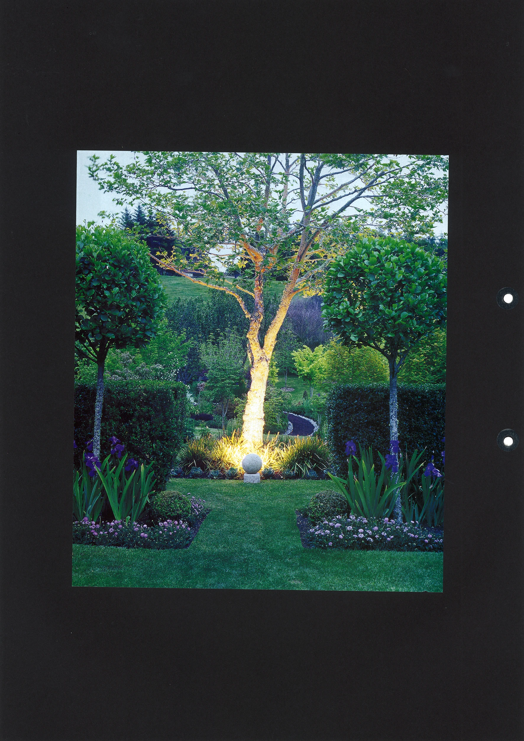 lighting 77