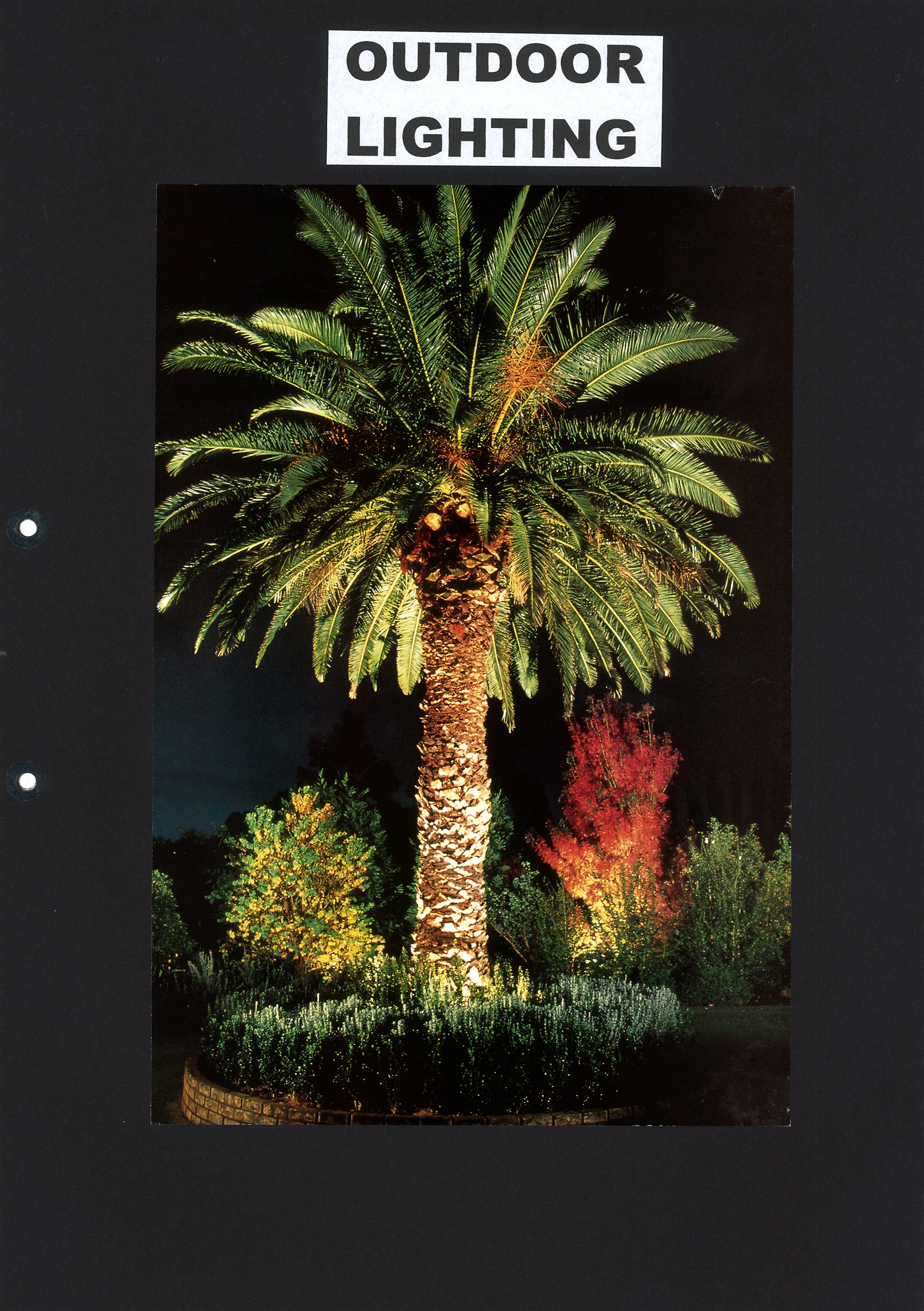 lighting 75