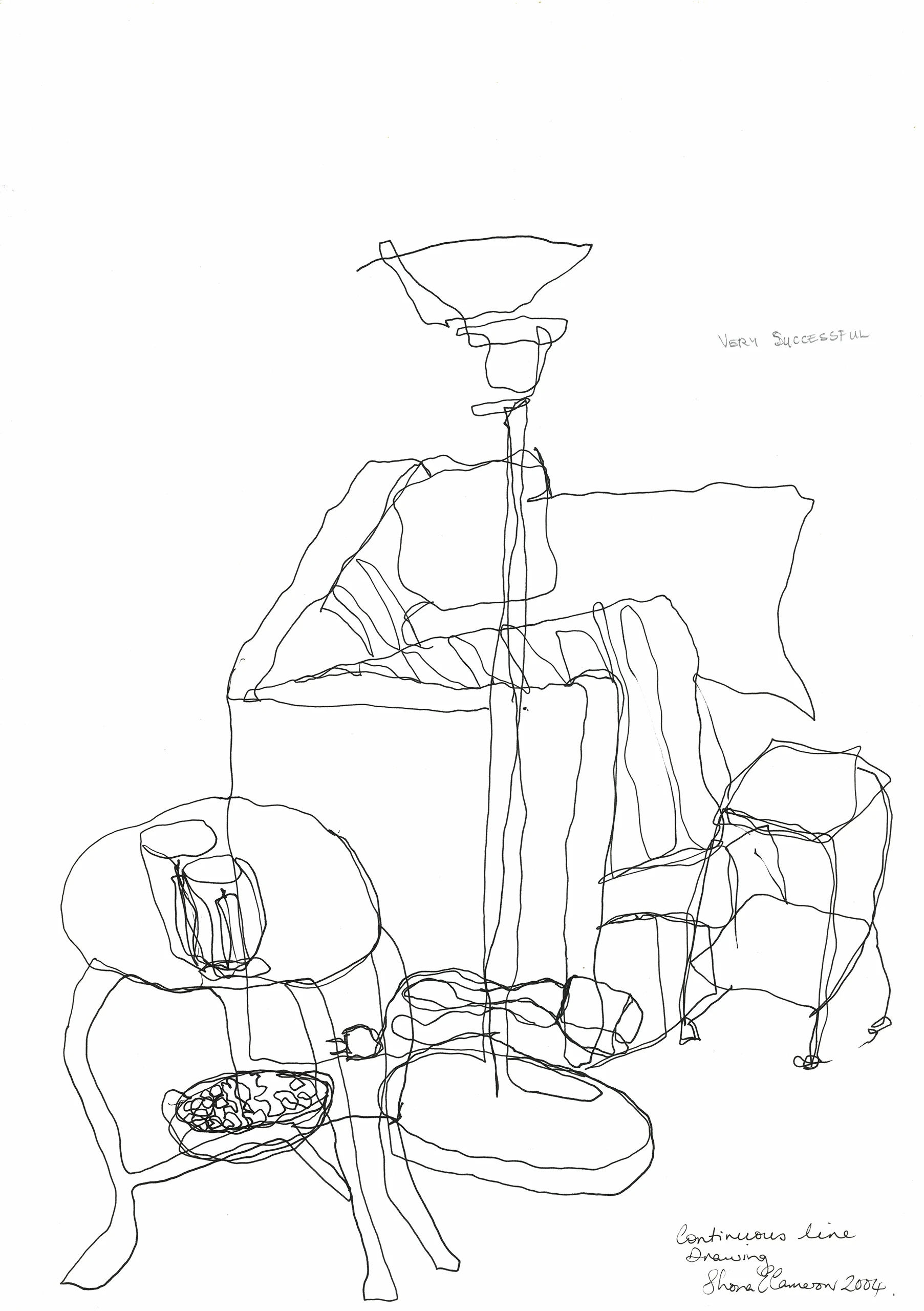 65 Continuous line drawing