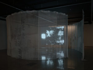 Ilish Thomas, The Crystal Palace, 2026 (installation view)