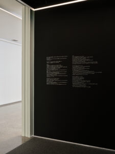 Pao Houa Her, Kwv Txhiaj in the Valley of Widows, 2026 (installation view)