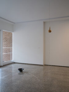 Sonic Hapori, Rona, 2026 (installation view)