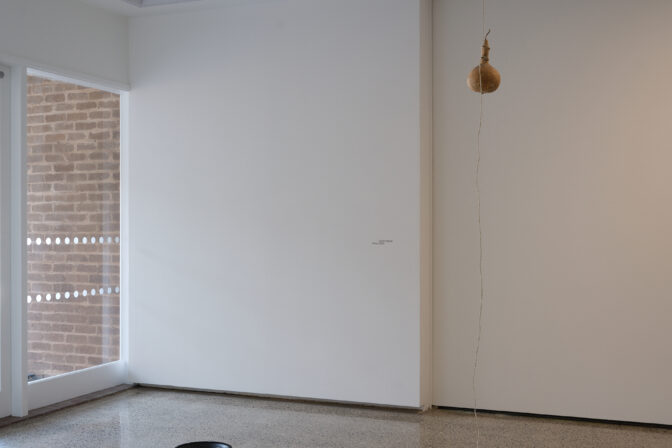 Sonic Hapori, Rona, 2026 (installation view)