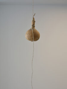Sonic Hapori, Rona, 2026 (installation view)