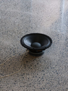 Sonic Hapori, Rona, 2026 (installation view)