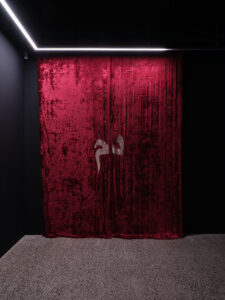 _DSF2239web